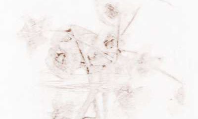 挖掘巨蟹座在工作中的长处