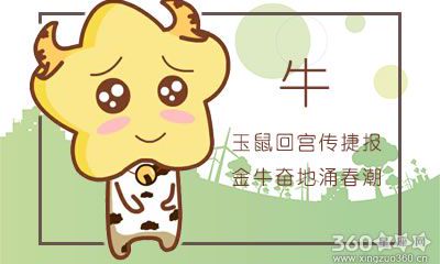 这五大生肖女最喜欢做别人的小三