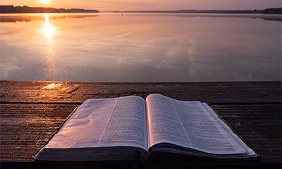 2022年生肖牛的幸运色和忌讳色，影响运势！