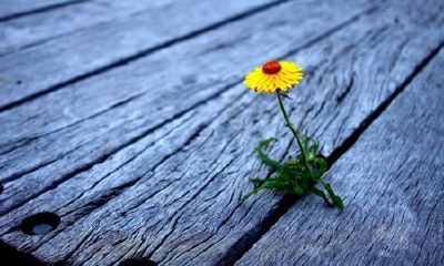 姓习可爱的女孩名字大全