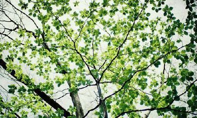 姓宦可爱的女孩名字大全