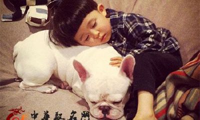 2017年最新的鸡宝宝起名名字大全