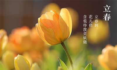 2022年立春时间介绍，2022年立春是五九尾还是六九头？