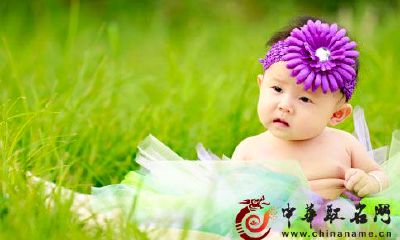 刚出生的宝宝名字 新生儿起名大全2017