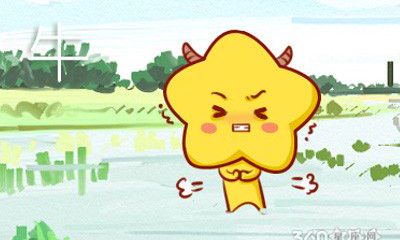 感觉恋爱只可意会不可言传的生肖女