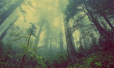 2022壬寅虎年春季有哪些是黄历好日子？