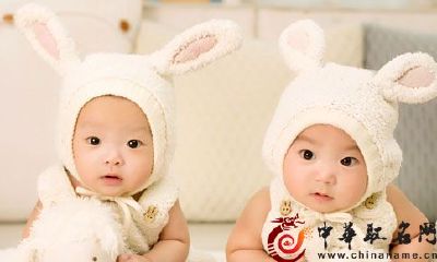 狗宝宝起名注意事项和名字大全2018