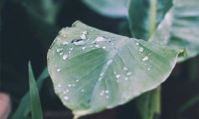 2022壬寅虎年秋季黄道吉日一览！