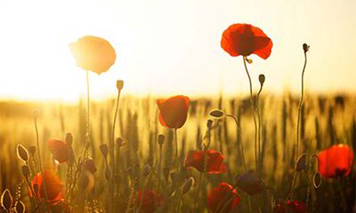 2022壬寅虎年夏季黄道吉日有多少天？