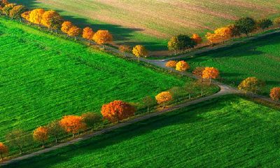 属兔正月初十是破月吗2023年