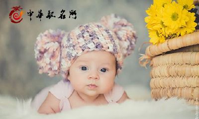 适合猪宝宝的名字女