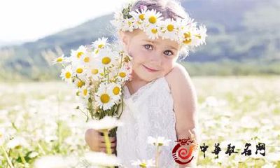 属猪的宝宝取名字宜忌