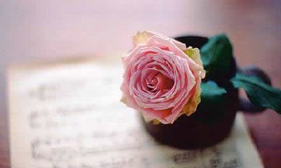 洋气的姓公良女孩名字大全