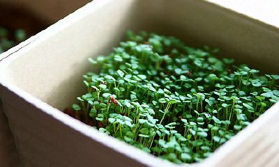 洋气的姓闾丘女孩名字大全