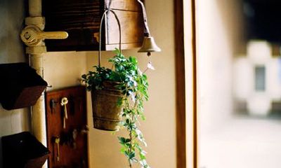 洋气的姓毋女孩名字大全