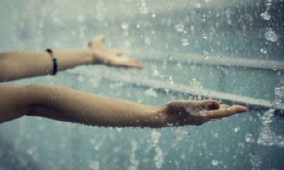 洋气的姓关女孩名字大全