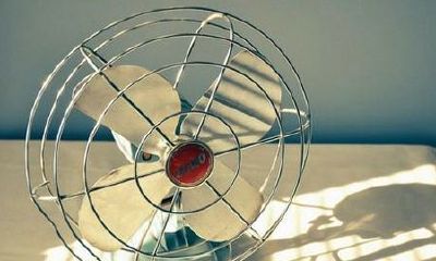 洋气的姓桓女孩名字大全