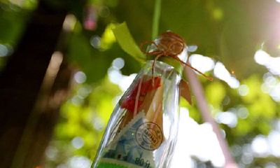 洋气的姓沃女孩名字大全