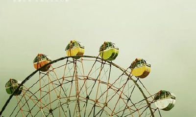 洋气的姓衡女孩名字大全