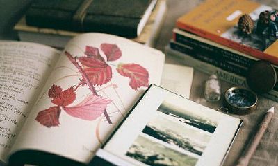 洋气的姓闻女孩名字大全