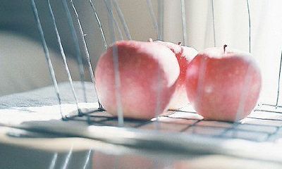 洋气的姓胥女孩名字大全