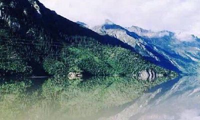 洋气的姓扈女孩名字大全