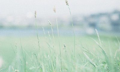 洋气的姓能女孩名字大全