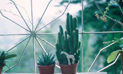 洋气的姓甘女孩名字大全