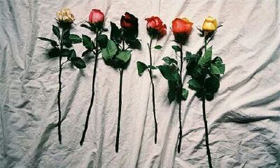 洋气的姓韶女孩名字大全