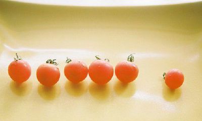 洋气的姓鄂女孩名字大全