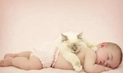 十二生肖取名什么字好 十二生肖取名禁忌