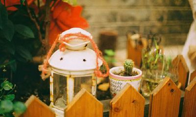 洋气的姓钭女孩名字大全