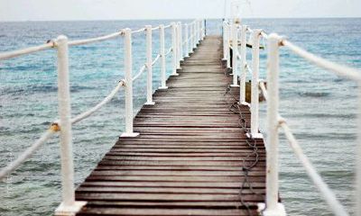 洋气的姓黎女孩名字大全