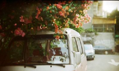 洋气的姓曲女孩名字大全