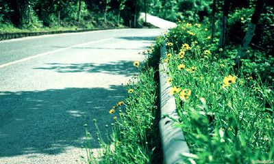 洋气的姓邓女孩名字大全