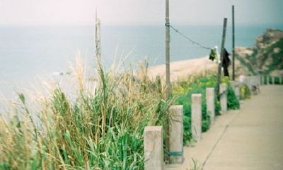 洋气的姓靳女孩名字大全