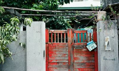 洋气的姓羿女孩名字大全