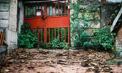 洋气的姓芮女孩名字大全