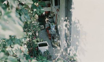 洋气的姓汲女孩名字大全