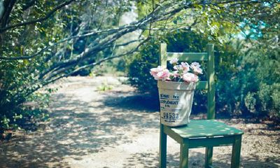 洋气的韩姓女孩名字大全