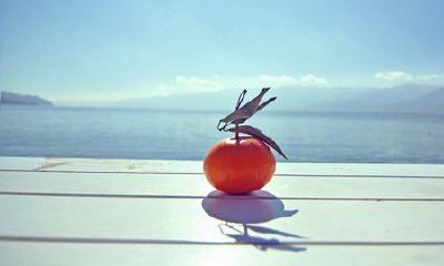 洋气的姓何女孩名字大全