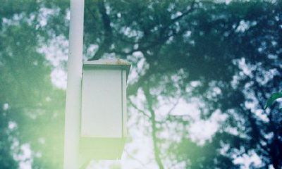 姓逯女孩两个字名字大全 逯姓2个字女宝宝起名