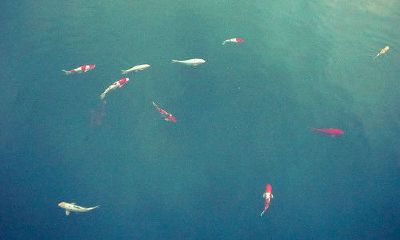 姓阴女孩两个字名字大全 阴姓2个字女宝宝起名