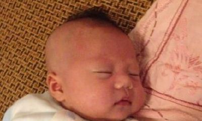 属鸡男孩子起小名