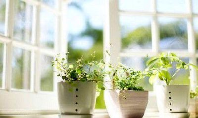 姓帅女孩名字大全洋气