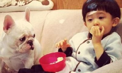 秦姓男孩取名参考