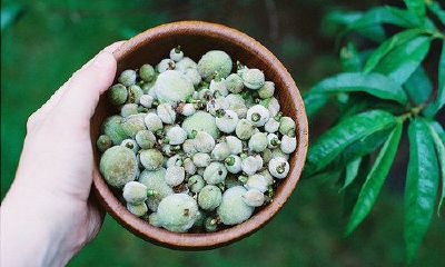 姓贝可爱的女孩名字大全