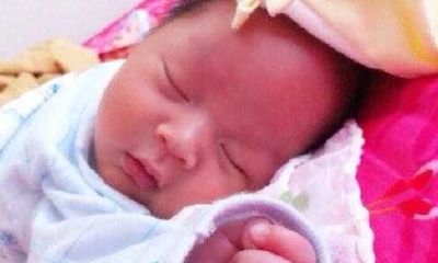 姓施的女孩名字两个字