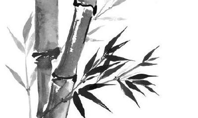 2019年10月20号出生的双胞胎男孩怎么起名字大气