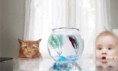 吉祥好听宝宝名字大全2019属猪